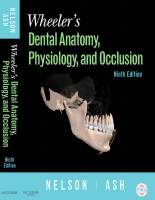 Wheeler Oral Physiology.pdf